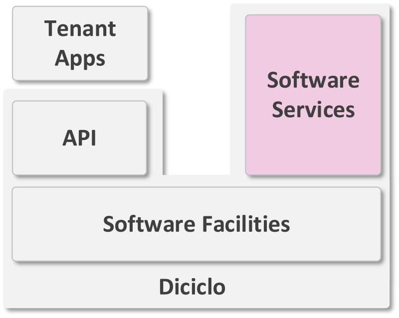 Software services